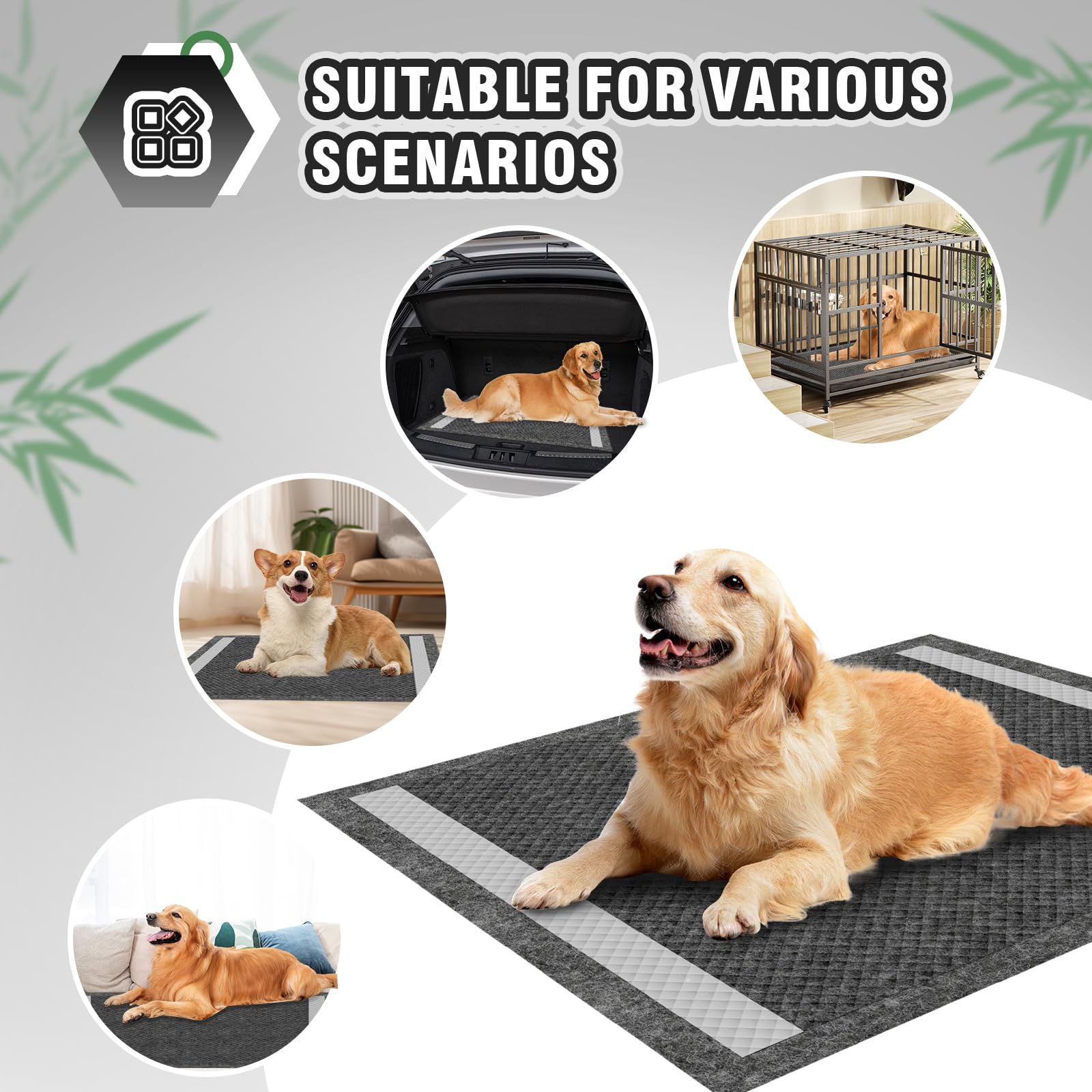 IMMCUTE tapis propreté et confort pour la maison.