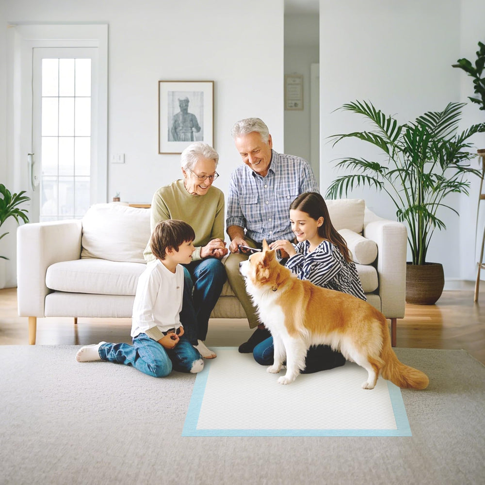 IMMCUTE nettoyage simplifié après usage des tapis-pipi