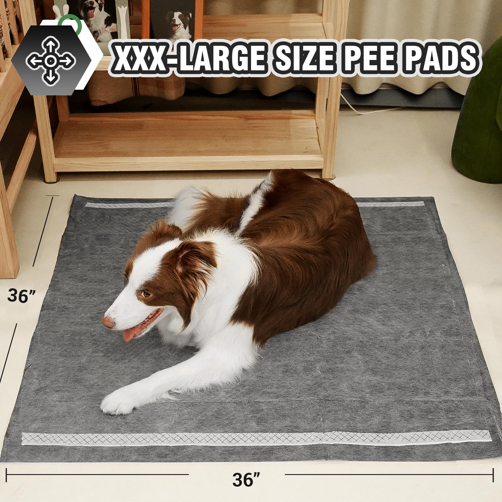 IMMCUTE tapis-xl absorption rapide, propreté des sols et confort du chien.