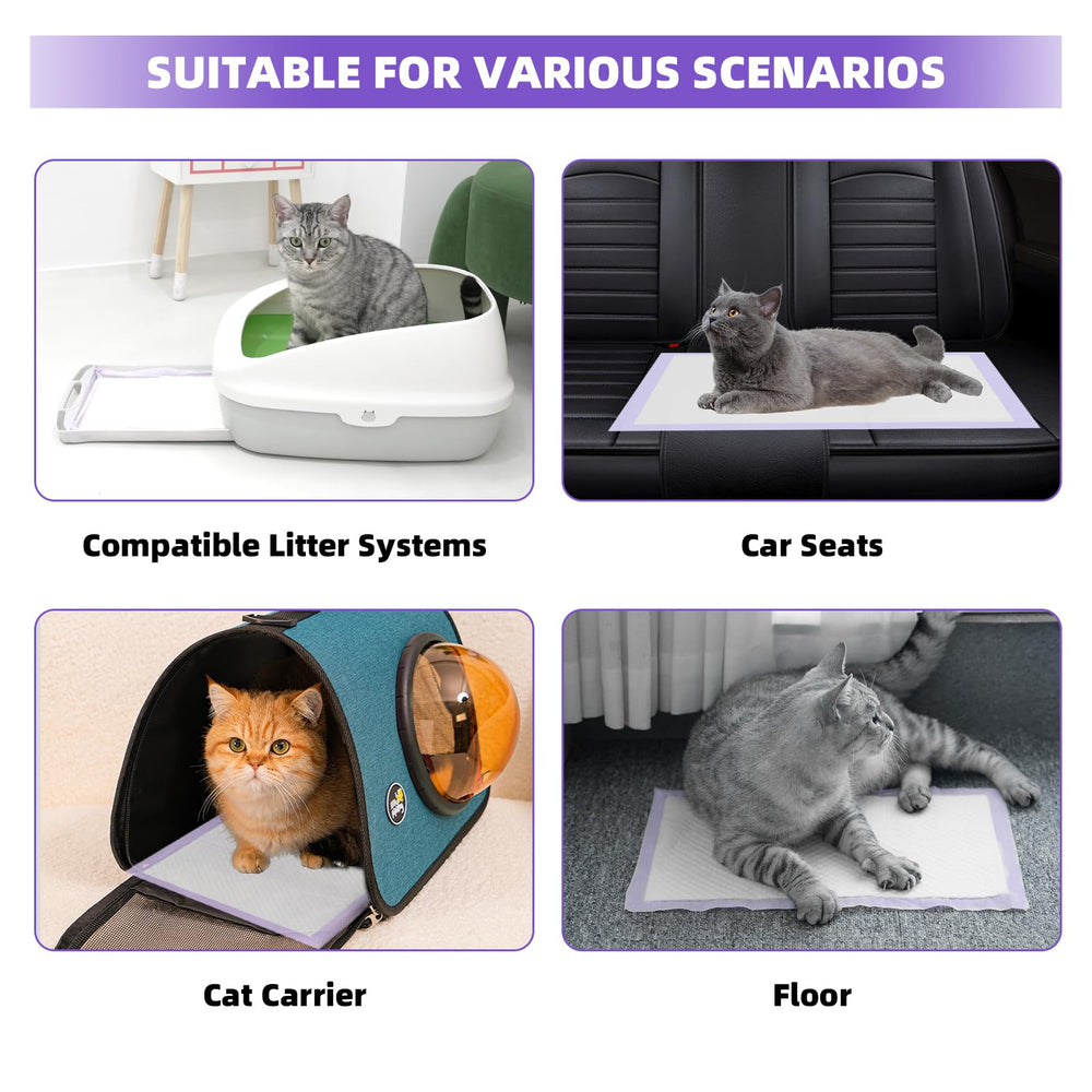 IMMCUTE tapis chat litière multi-utilisateur, entretien simple et rapide.