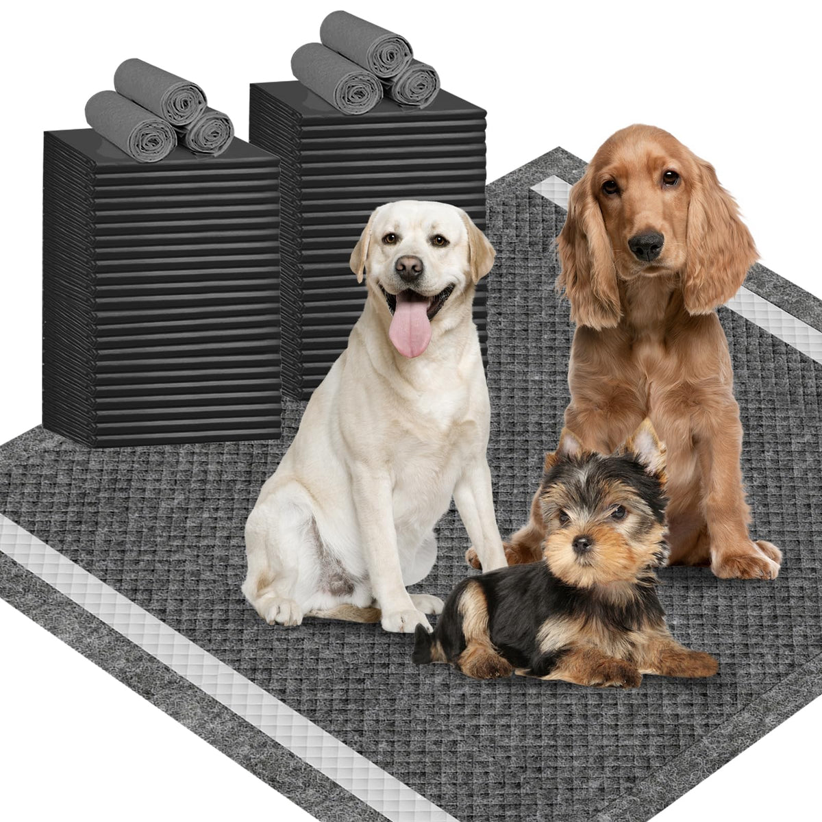IMMCUTE tapis xl 36x36 charbon actif, espace généreux et absorption rapide.