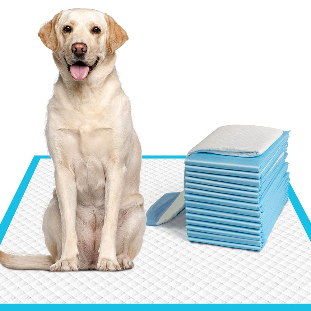 IMMCUTE tapis entraînement chien XL, grande surface idéale pour chiots et chiens.