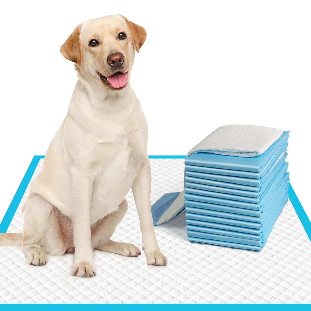 IMMCUTE tapis-pipi chien grand 28x30, absorption élevée pour l'intérieur