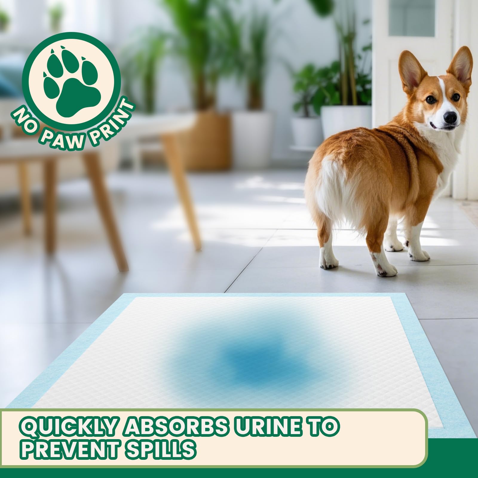 IMMCUTE tapis-pipi chien usage intérieur et voyages.