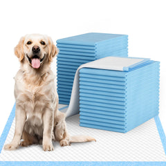 IMMCUTE Tapis-pipi XL 28x34 absorbant pour chiens actifs.