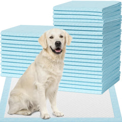 IMMCUTE Tapis Pipi XXL 28x30, absorption élevée pour chiots et chiens.