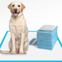 IMMCUTE tapis-potty chien XL 28x34 pour intérieur propre et pratique.