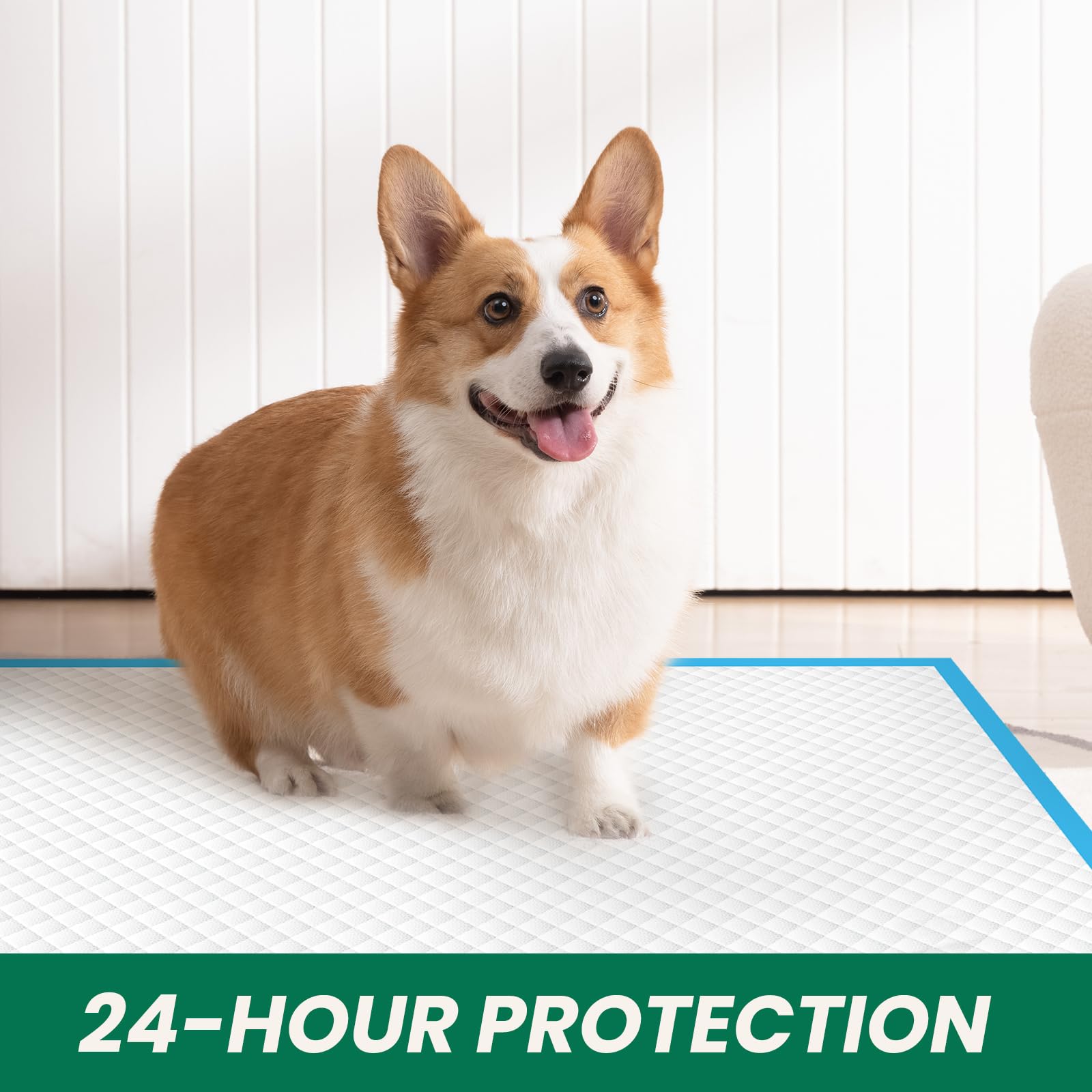 Solution polyvalente pour chiens et chats IMMCUTE, idéal pour le dressage et les accidents.