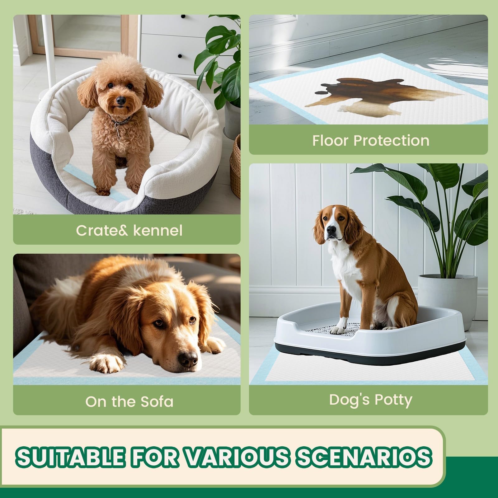 IMMCUTE pratique pour voyages et déplacements, facile à transporter