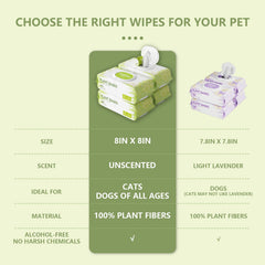 IMMHABI 400 lingettes fibres vegetales – alternatives écologiques et compostables.