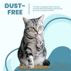 IMMHABI compatibilité avec Tidy Cats Breeze, utilisation fluide dans le bac.