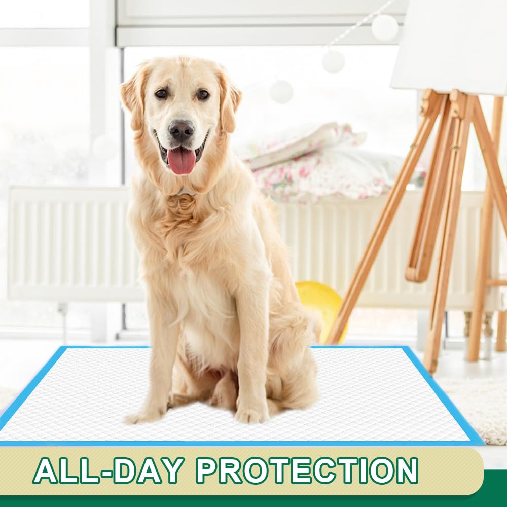 Lot de 100 tapis d apprentissage IMMCUTE pour animaux.