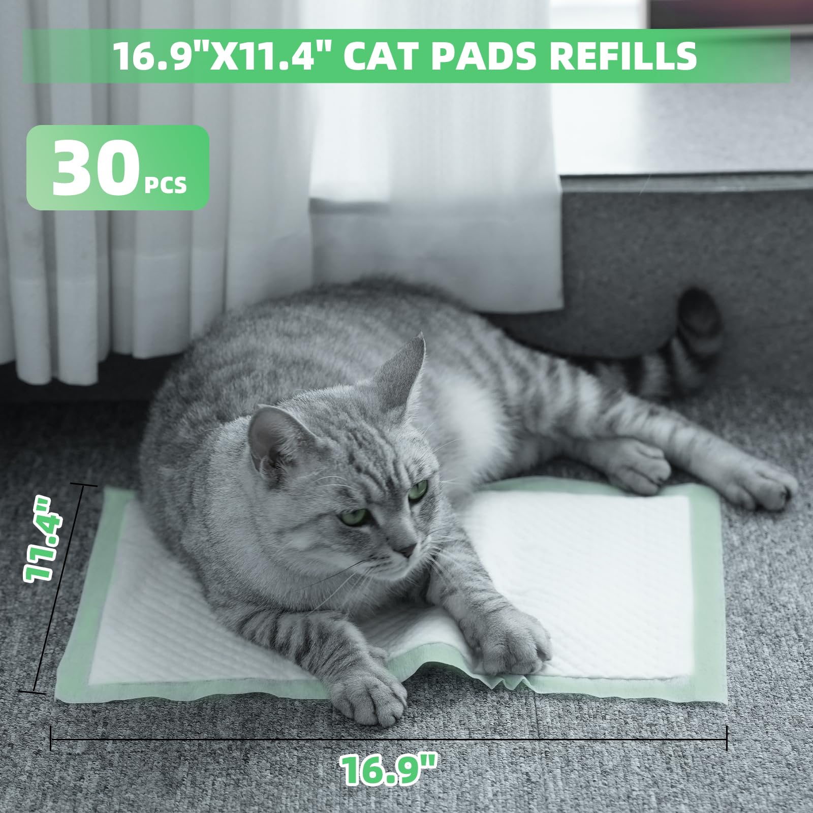 IMMCUTE tapis-chat remplacement litière système, pratique et propre.