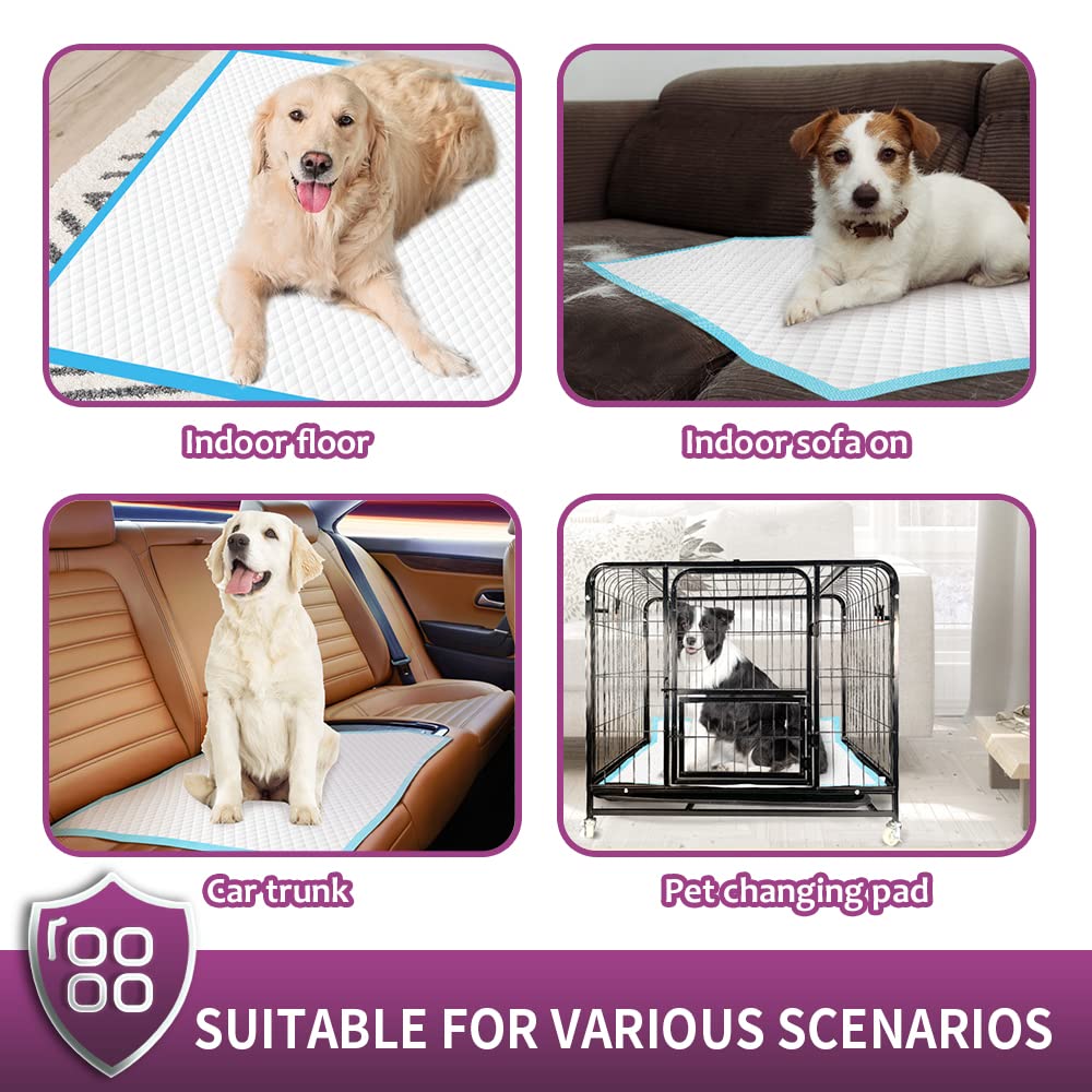 Idéal pour chiots et chiens seniors, IMMCUTE polyvalent.