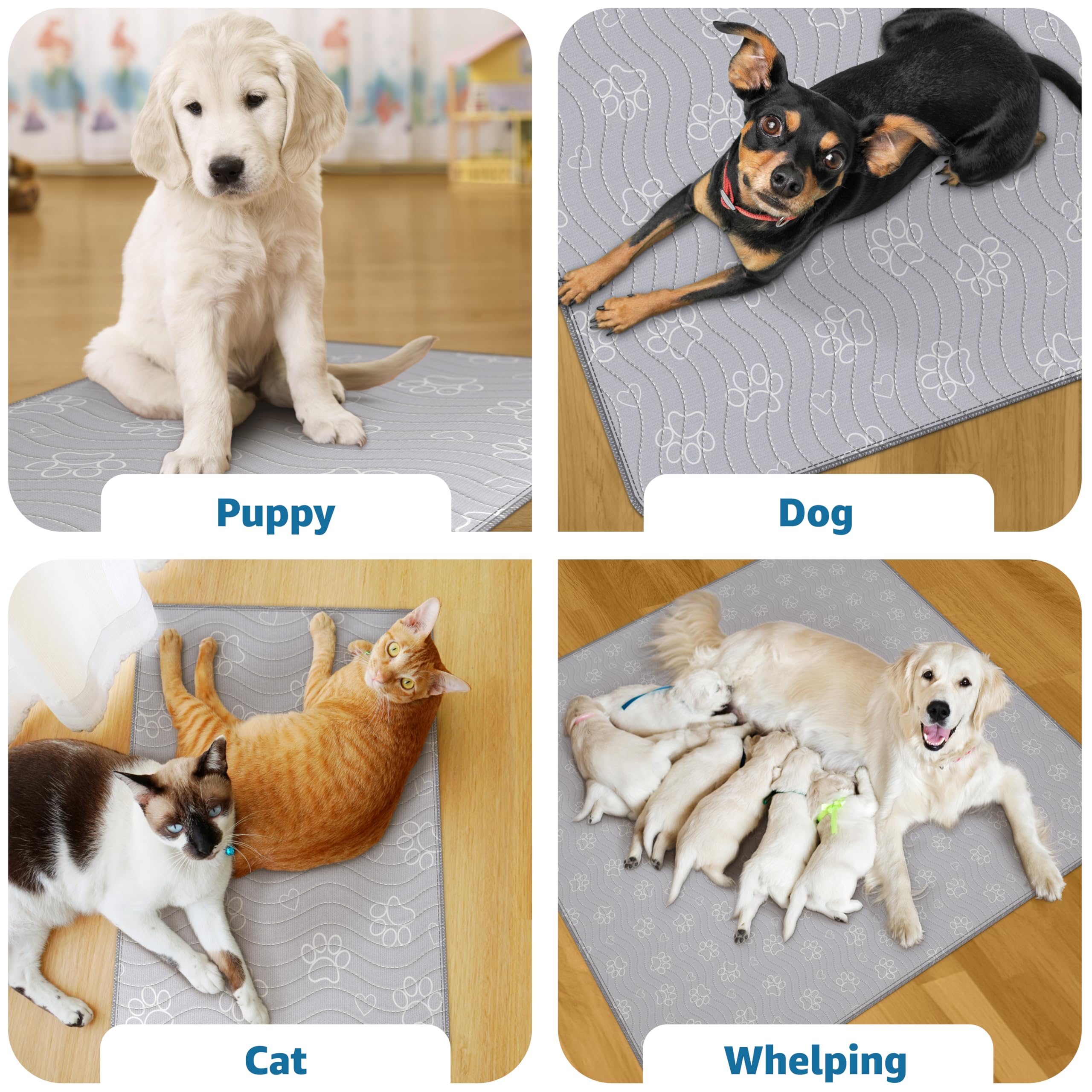 IMPROVIA Tapis-puppy-pad idéal pour dressage et apprentissage canin