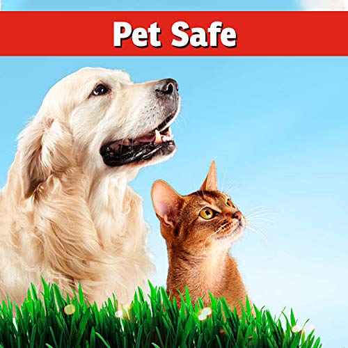 IMUSTGARDEN Répulsif chien-chat, odeur neutre pour l'air ambiant.