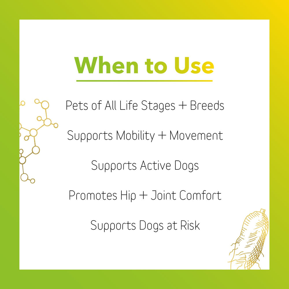 Connectin convient aux chiens et aux chats et soutient le quotidien.
