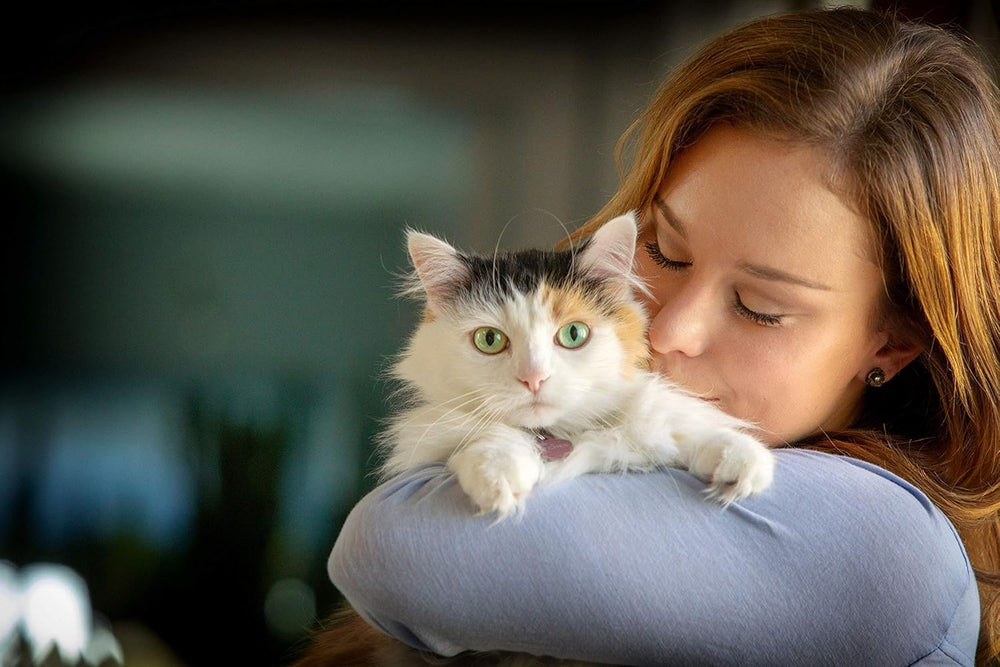 In Clover Spry – conseils d'utilisation pour chats, dosage et usage préventif.