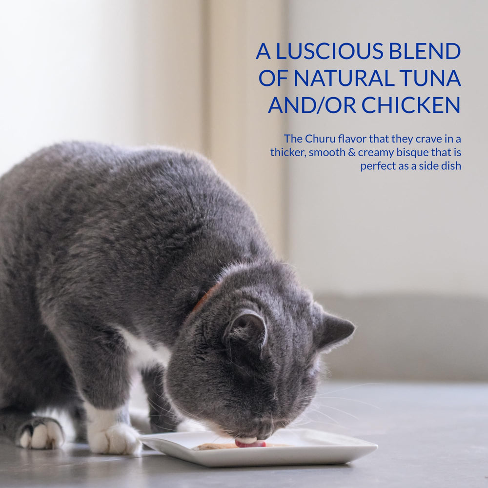 Inaba Churu Bisque sans conservateurs, choix plus naturel pour chat.