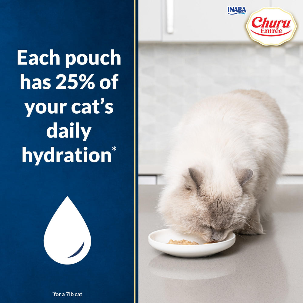 INABA Churu Entrée Stew chaton avec thon, poche pratique et appétence élevée