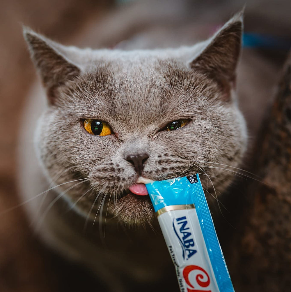 Idéal pour accompagner les traitements médicamenteux sans stress