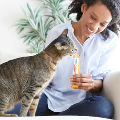 Chat recevant le tube INABA Churu directement à la main pour un moment partagé