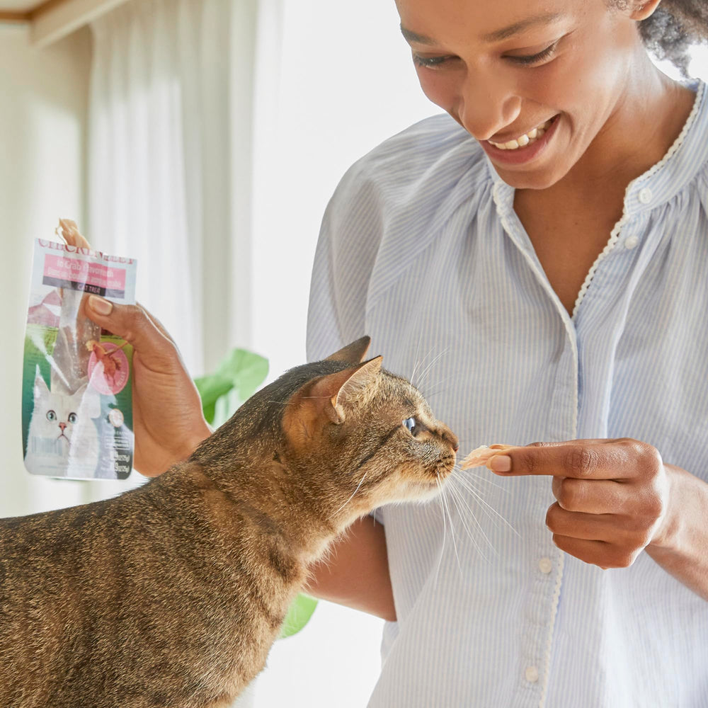 Six saveurs INABA offrent une variété attrayante pour votre chat.