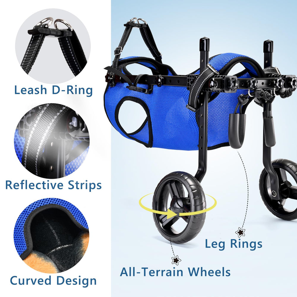 Assemblage sans outils inanil avec anneau D pour une promenade rapide.