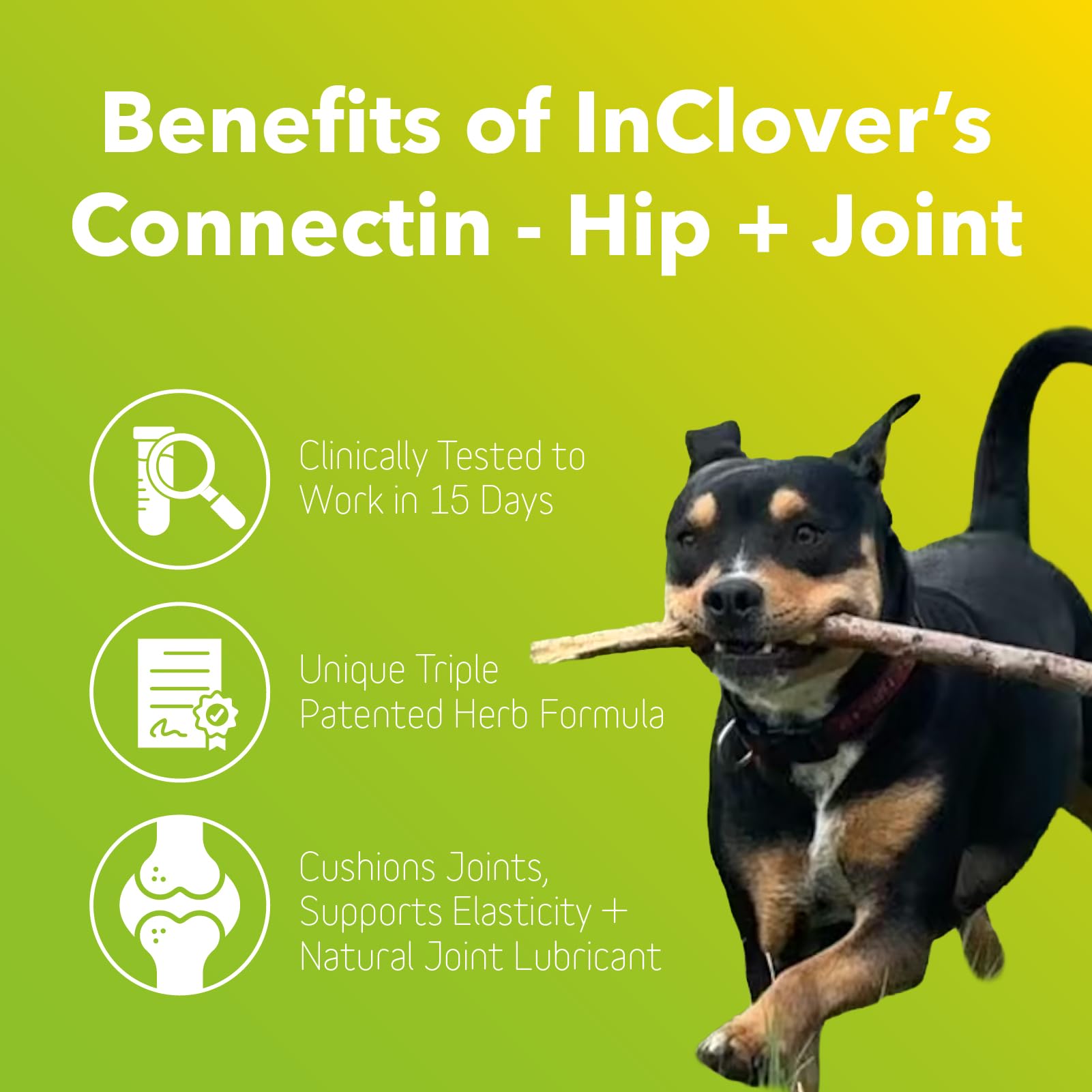 In Clover Connectin emballage produit: présentation simple et accessible