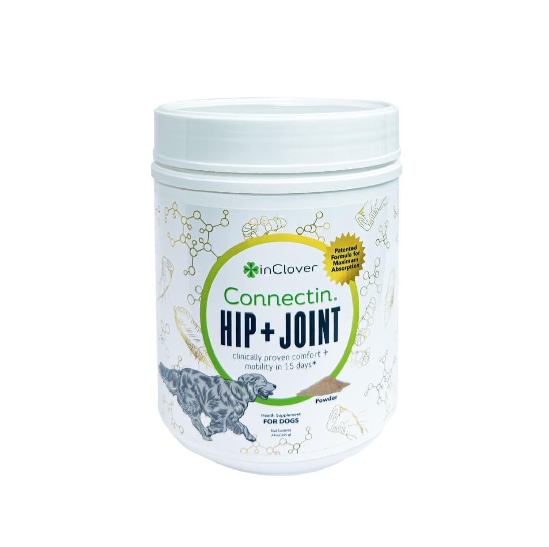 In Clover Connectin poudre dans bol, soutien des articulations chiens et chats.