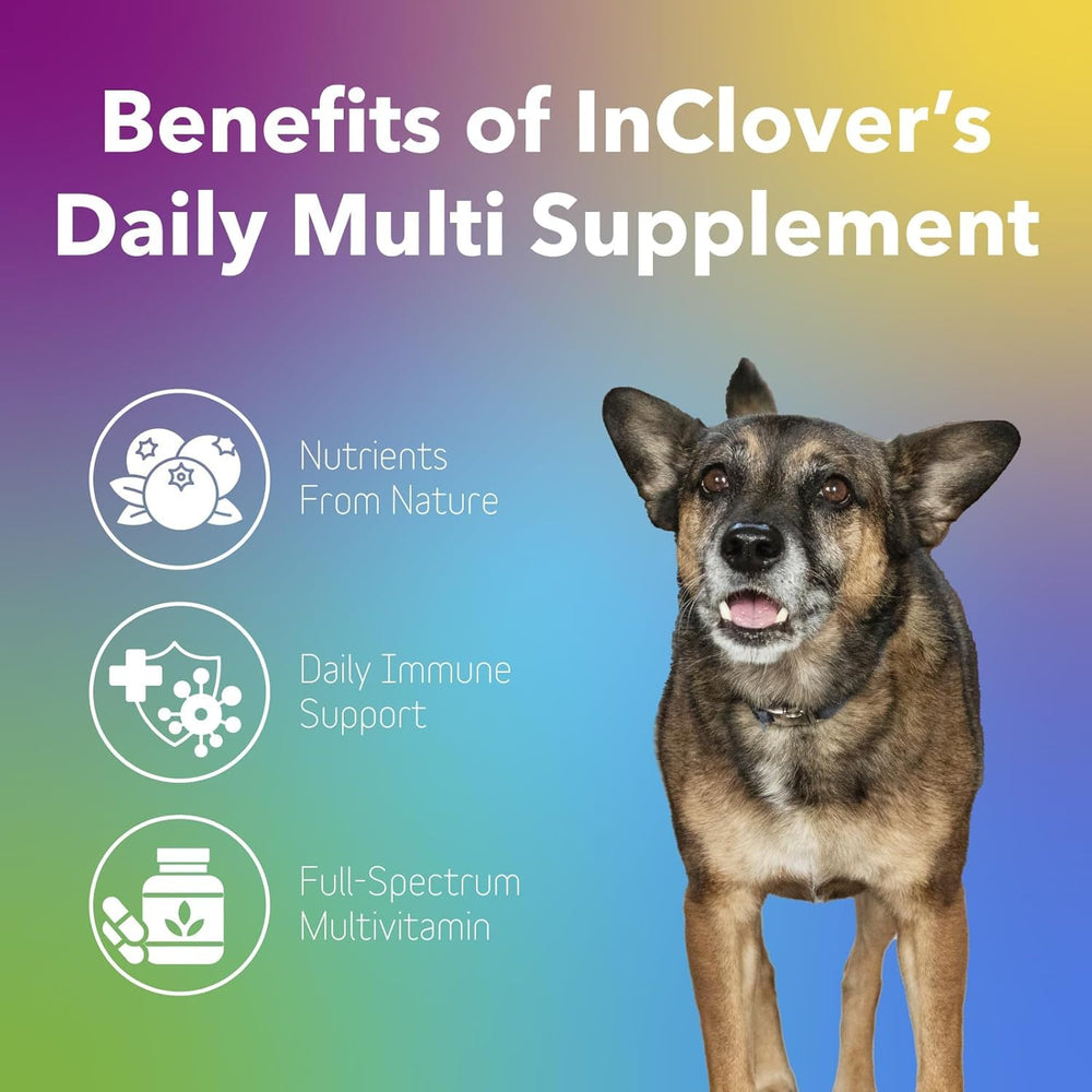 InClover Daily Multi - myrtilles bio: antioxydants naturels pour la santé générale.