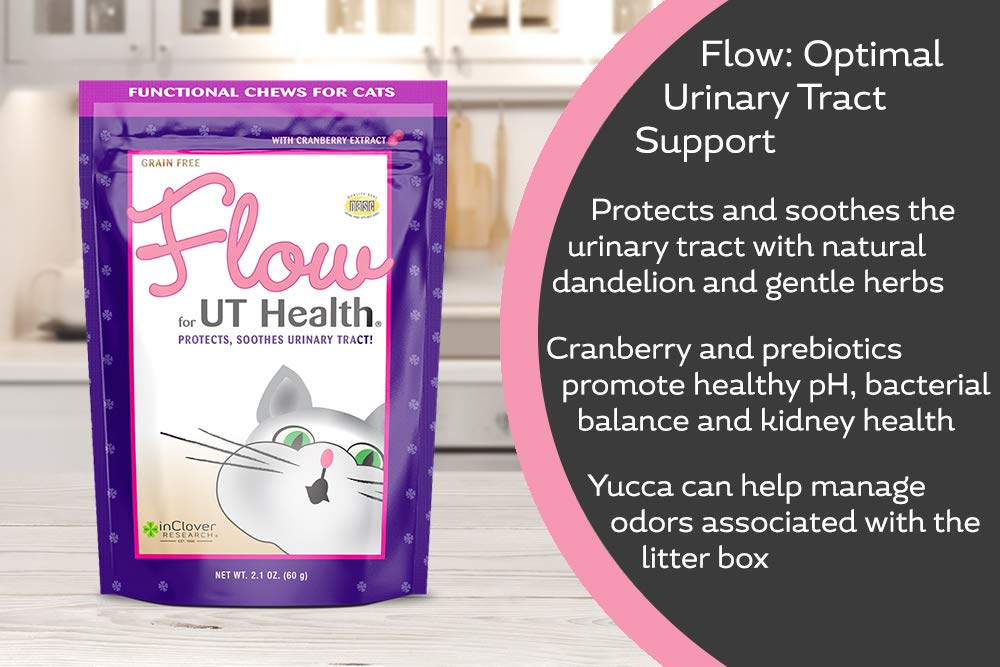 In Clover Flow: dose facile, intégration simple dans les repas quotidiens du chat.