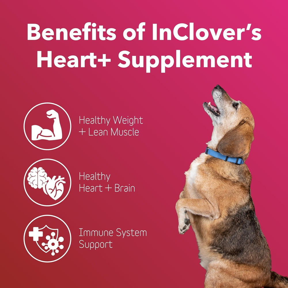 InClover Heart+ – etiquette, décrit le soutien potentiel pour cœur et immunité.