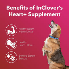 InClover Heart+ – etiquette, décrit le soutien potentiel pour cœur et immunité.