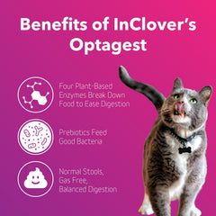 Optagest d In Clover dans le bol des animaux, soutien pratique pour une habitude alimentaire équilibrée.