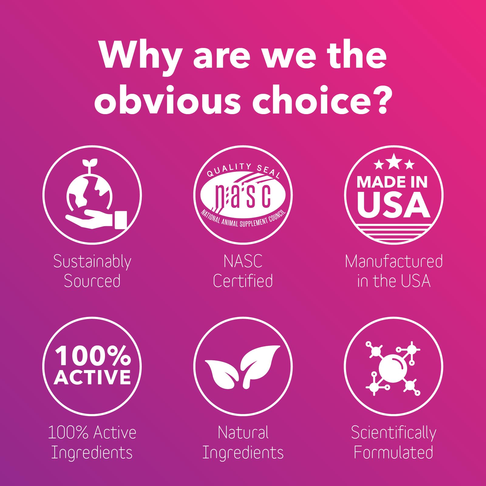 InClover Optagest – chat utilisant le produit et équilibre intestinal.