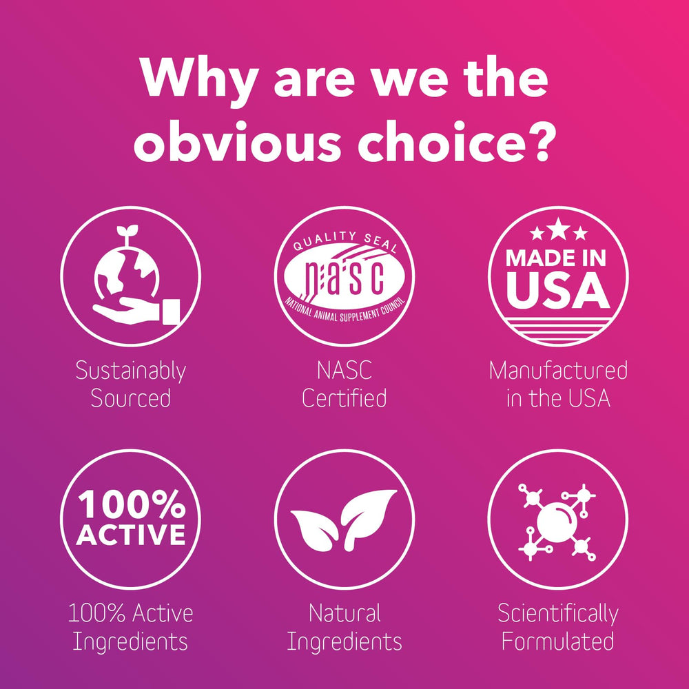 InClover Optagest – chat utilisant le produit et équilibre intestinal.