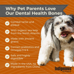 Indigenous os dentaires pour chiens 2-pack sans gluten – recette sensible