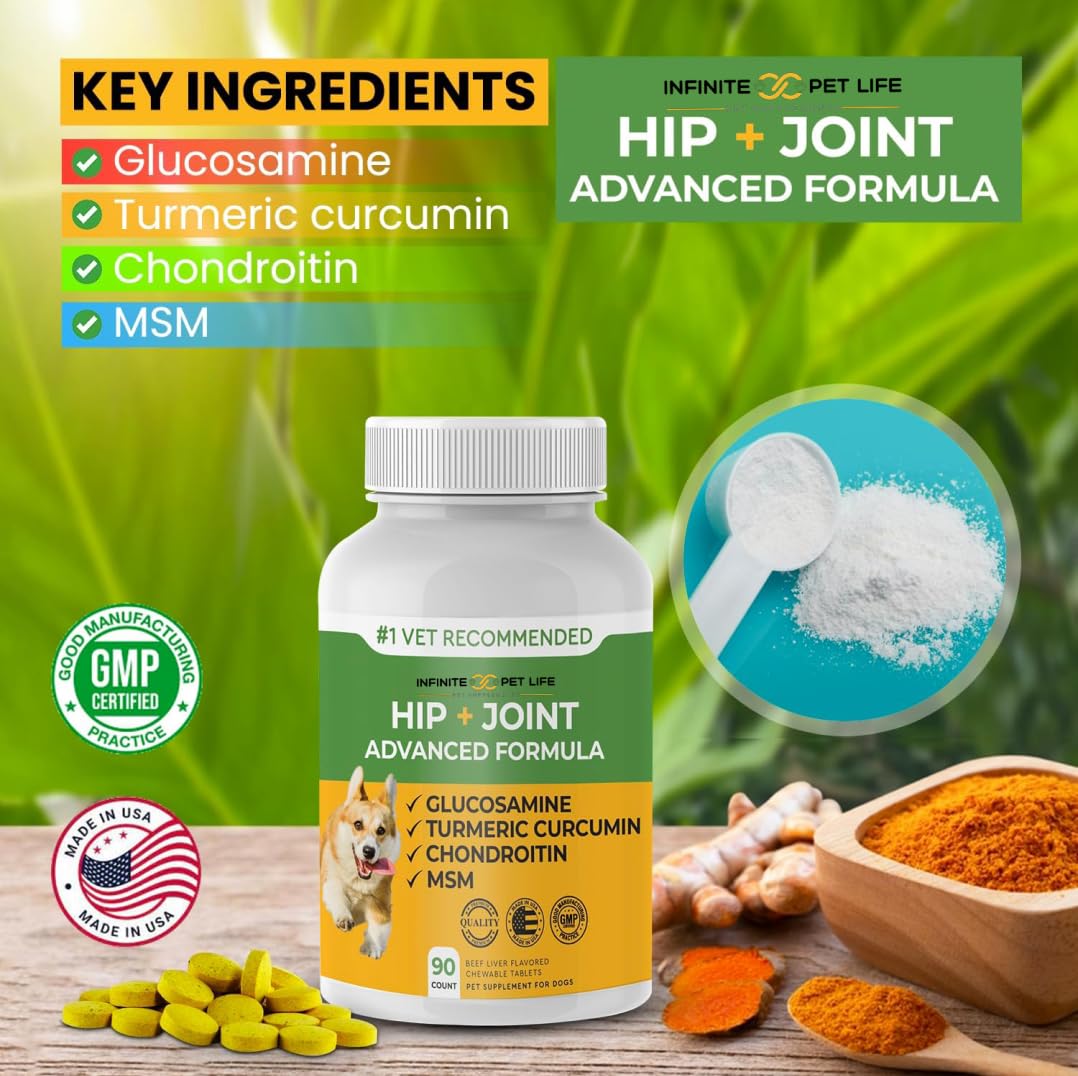 Infinite Pet Supplements – chien senior détendu, potentiel soutien mental et calme.