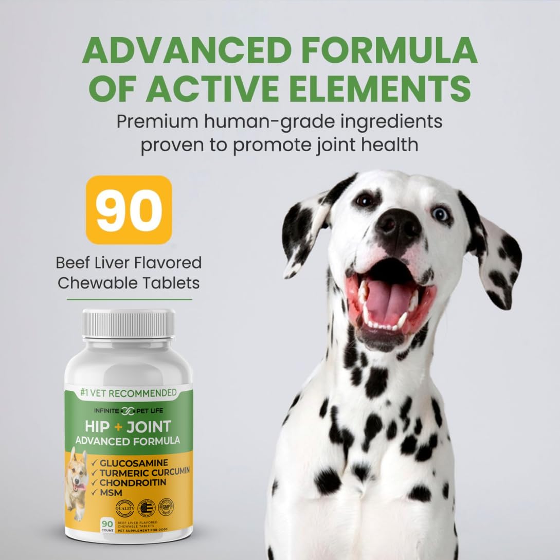 Infinite Pet Supplements – curcuma et composants naturels, soutien inflammatoire potentiel.