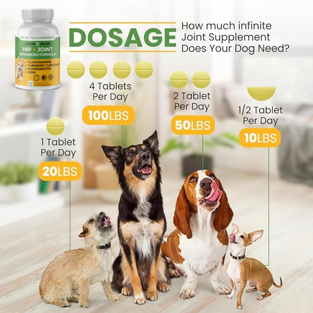 Infinite Pet Supplements – glucosamine, chondroïtine et MSM, soutien des articulations et mobilité.