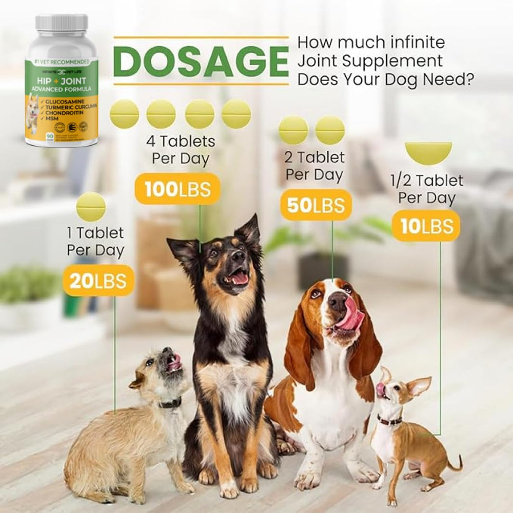 Infinite Pet Supplements – glucosamine, chondroïtine et MSM, soutien des articulations et mobilité.