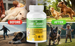 Infinite Pet Supplements – comprimés chien gros plan, soulagement potentiel douleur articulaire.