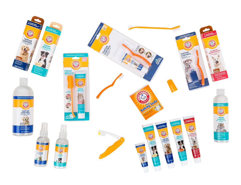 Ingrédients dentifrice Arm & Hammer pour chiens, sécurité et douceur