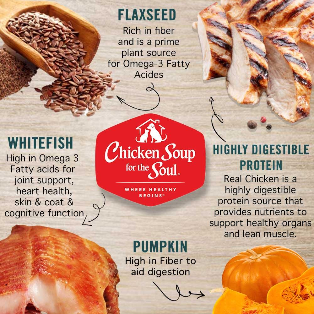Chicken Soup for the Soul ingredients reels pate chien aliments simples