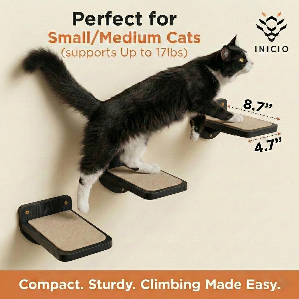INICIO Cat Wall Steps: bois naturel et look moderne pour le salon.