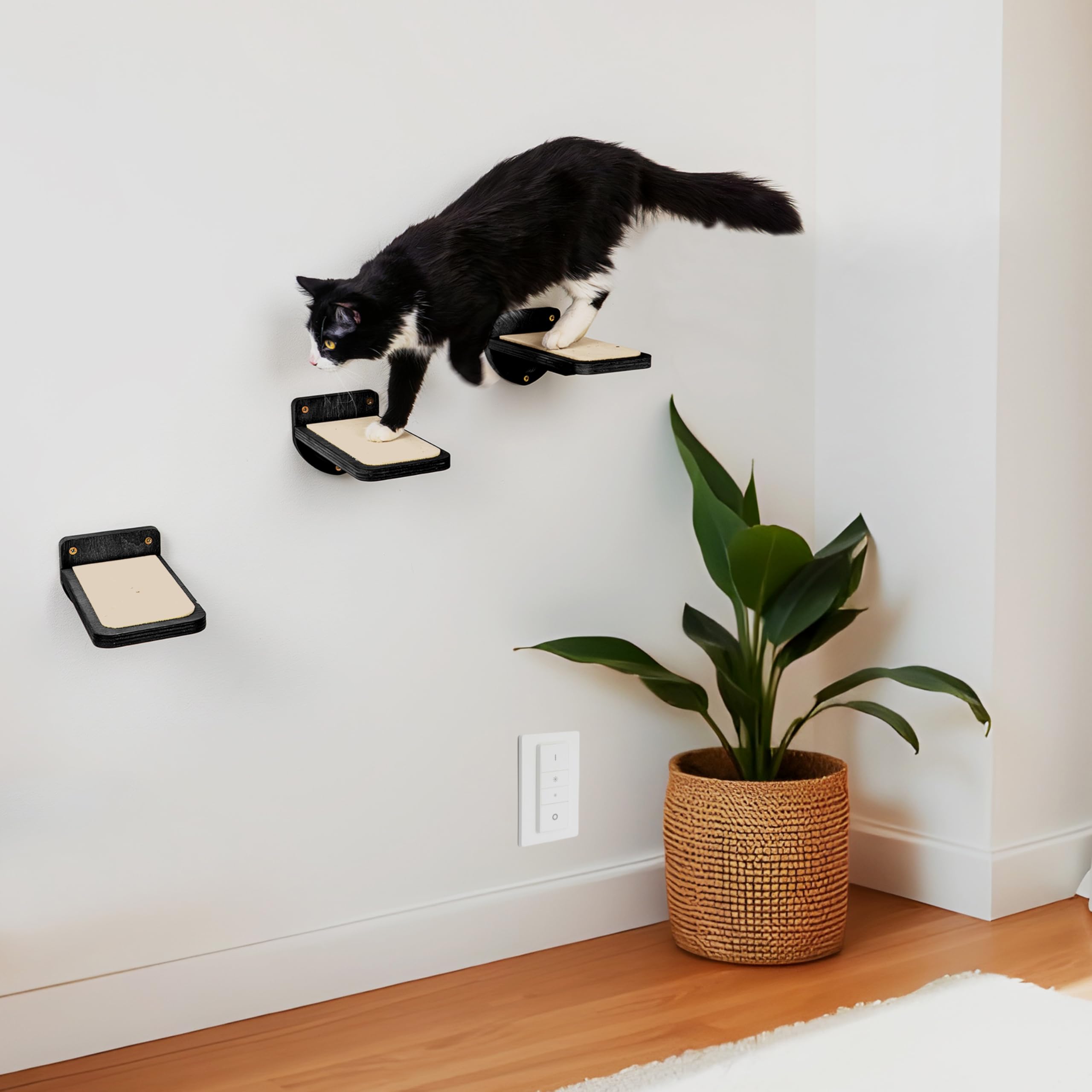 INICIO Cat Wall Steps: design compact qui économise l'espace et décore le mur.