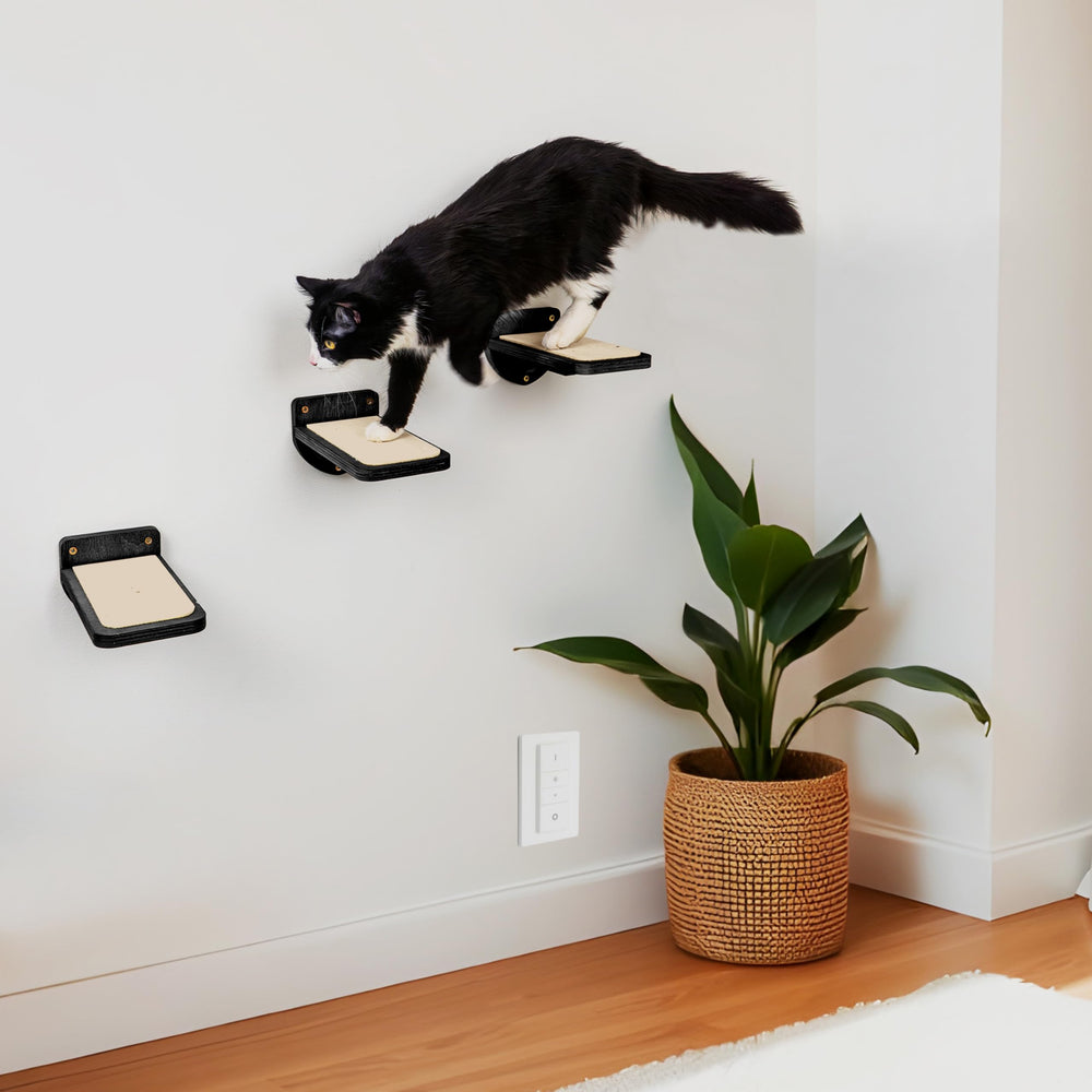 INICIO Cat Wall Steps: design compact qui économise l'espace et décore le mur.