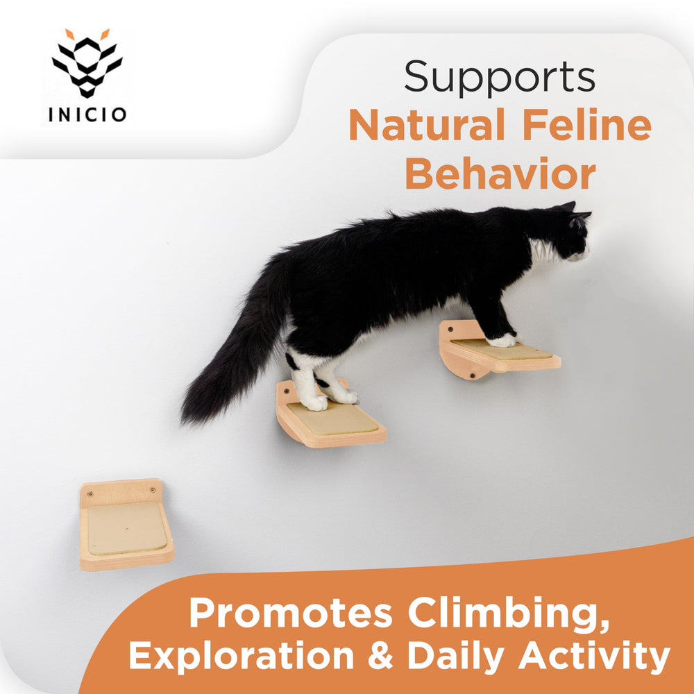 INICIO escaliers muraux chat compact – solution discrète pour petits espaces