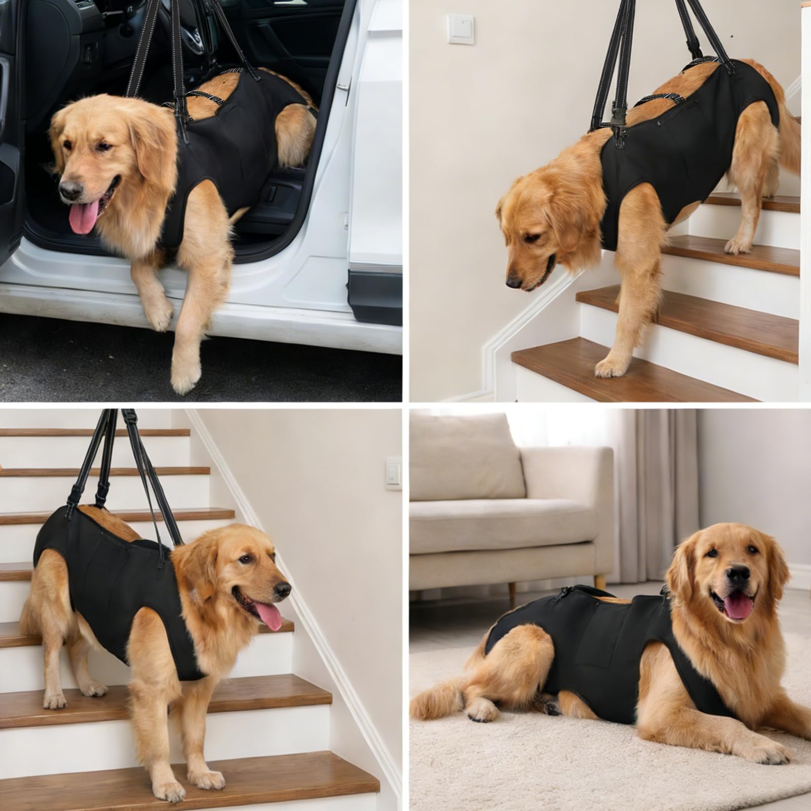 Harnais corporel INKNOTE pour chien, ajustable et sûr pendant les déplacements